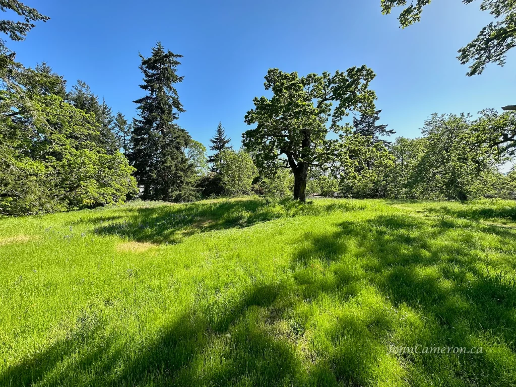 Green and blue at the top of the park. So much lush vegetation at this time of the year!
