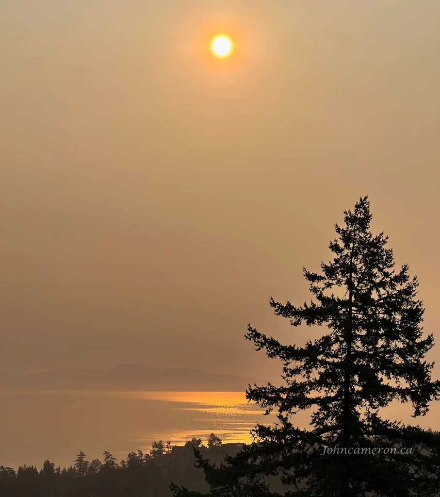 Lone Fir watches over a smoke filled Haro Straight. ©johncameron.ca