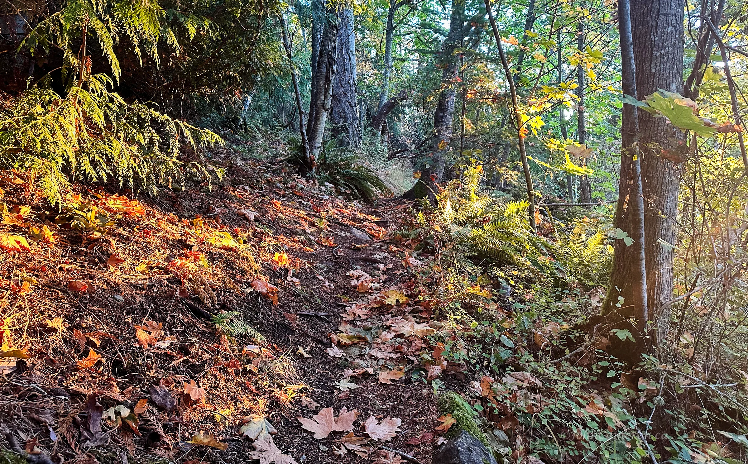 Trail to East Side