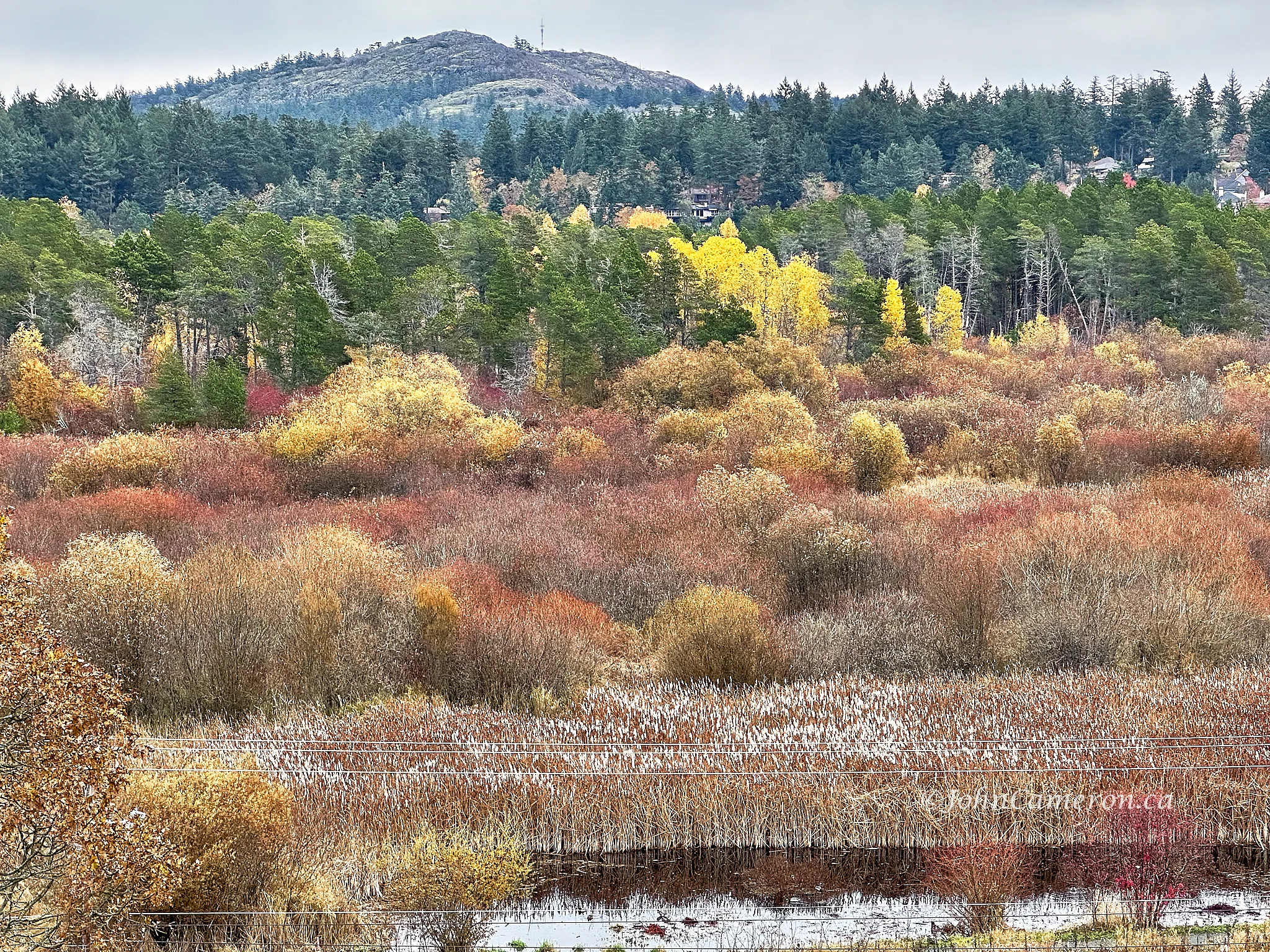 From Chatterton Hill Park, Saanich ©johncameron.ca