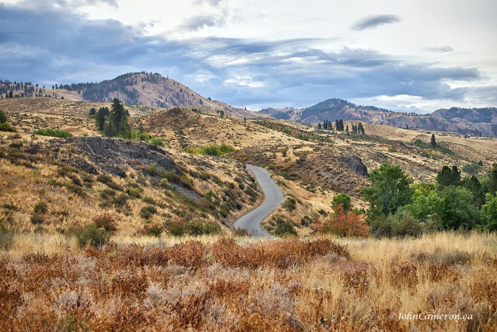 Woman walking westie on an Okanagan road ©johncameron.ca