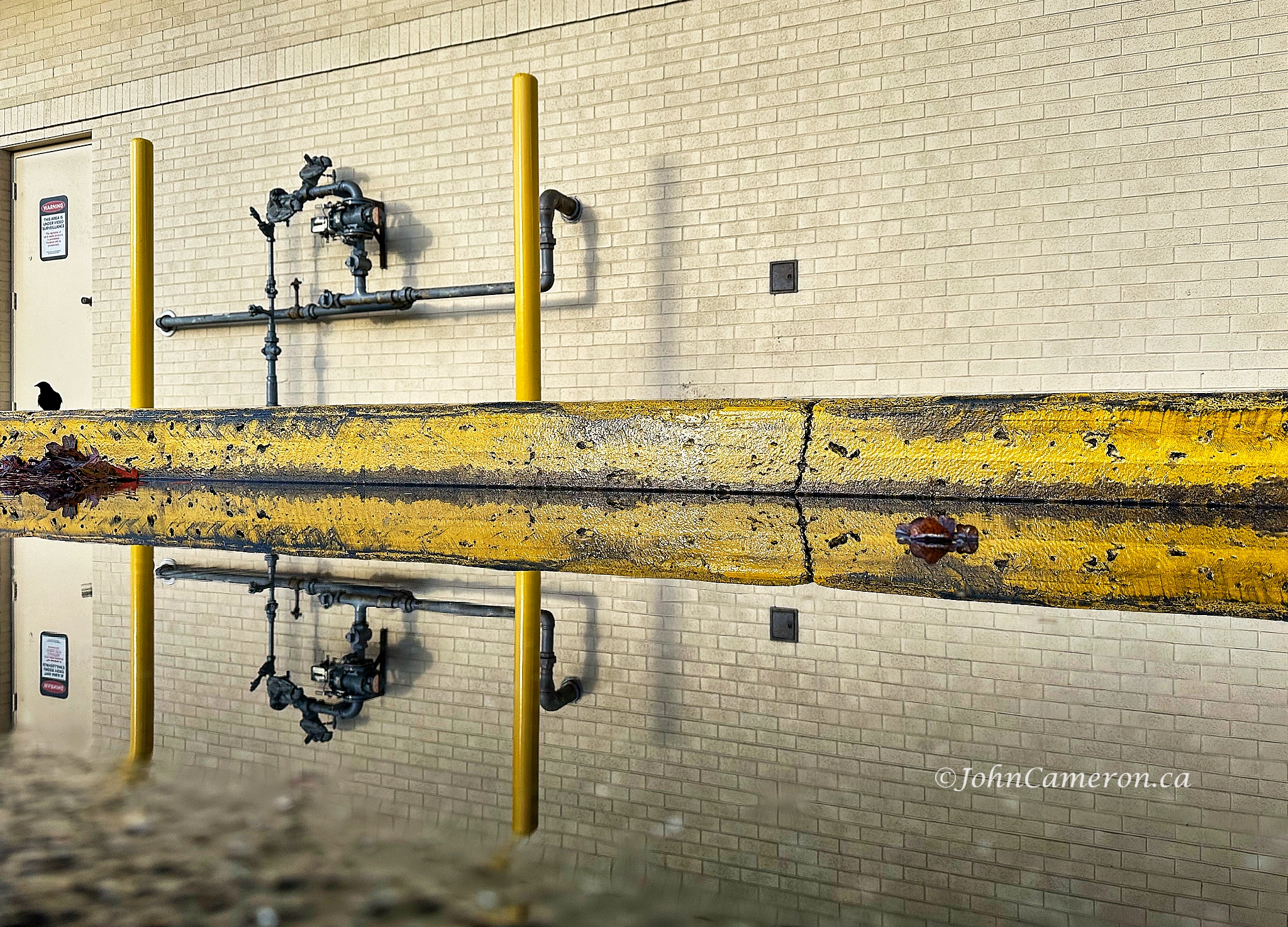 Reflection