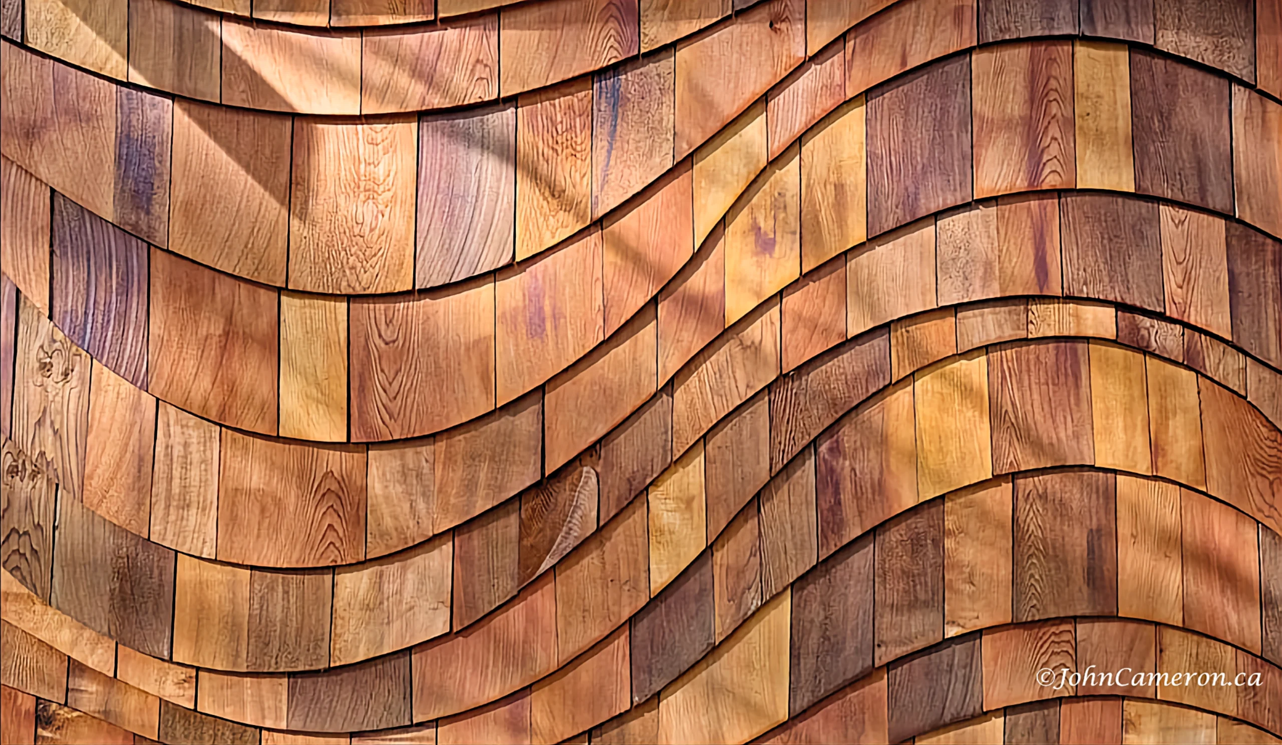 Shed Siding