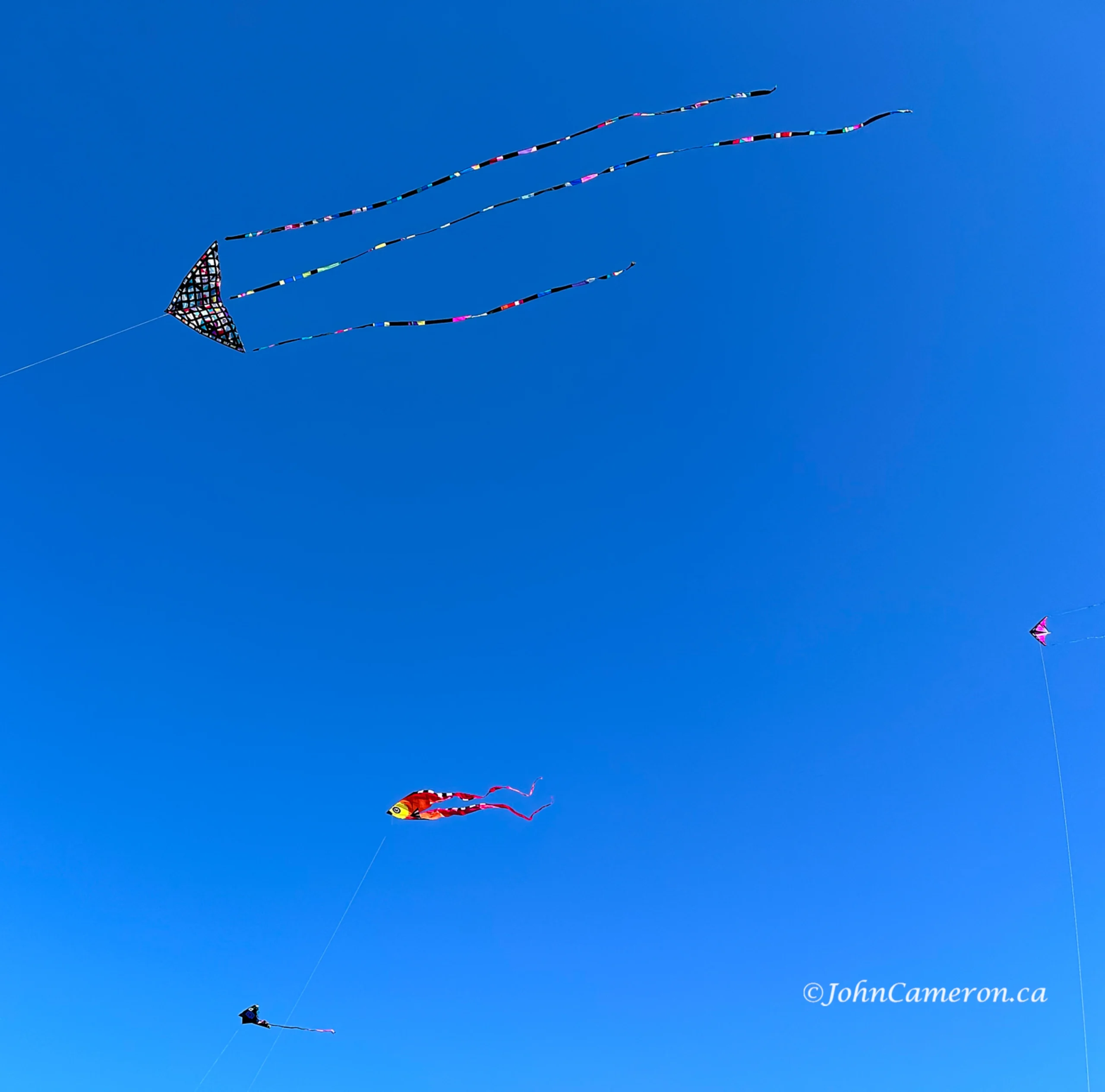 Free Flying Kites at Isle View Beach ©johncameron.ca