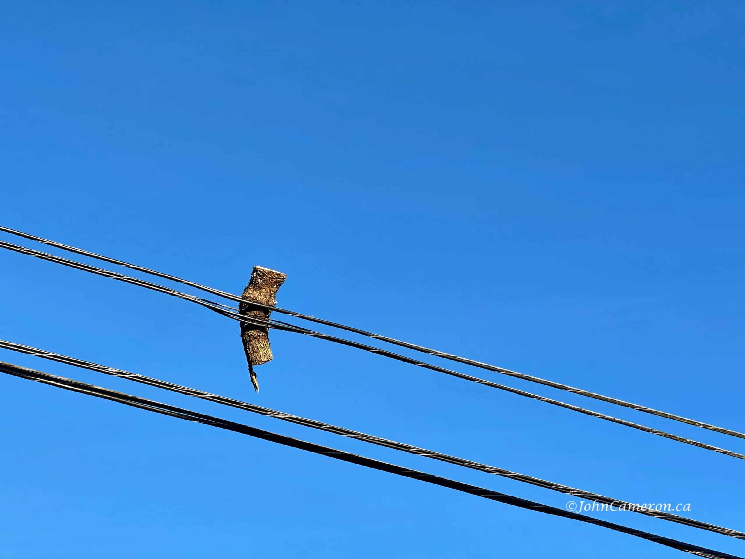 Look Up