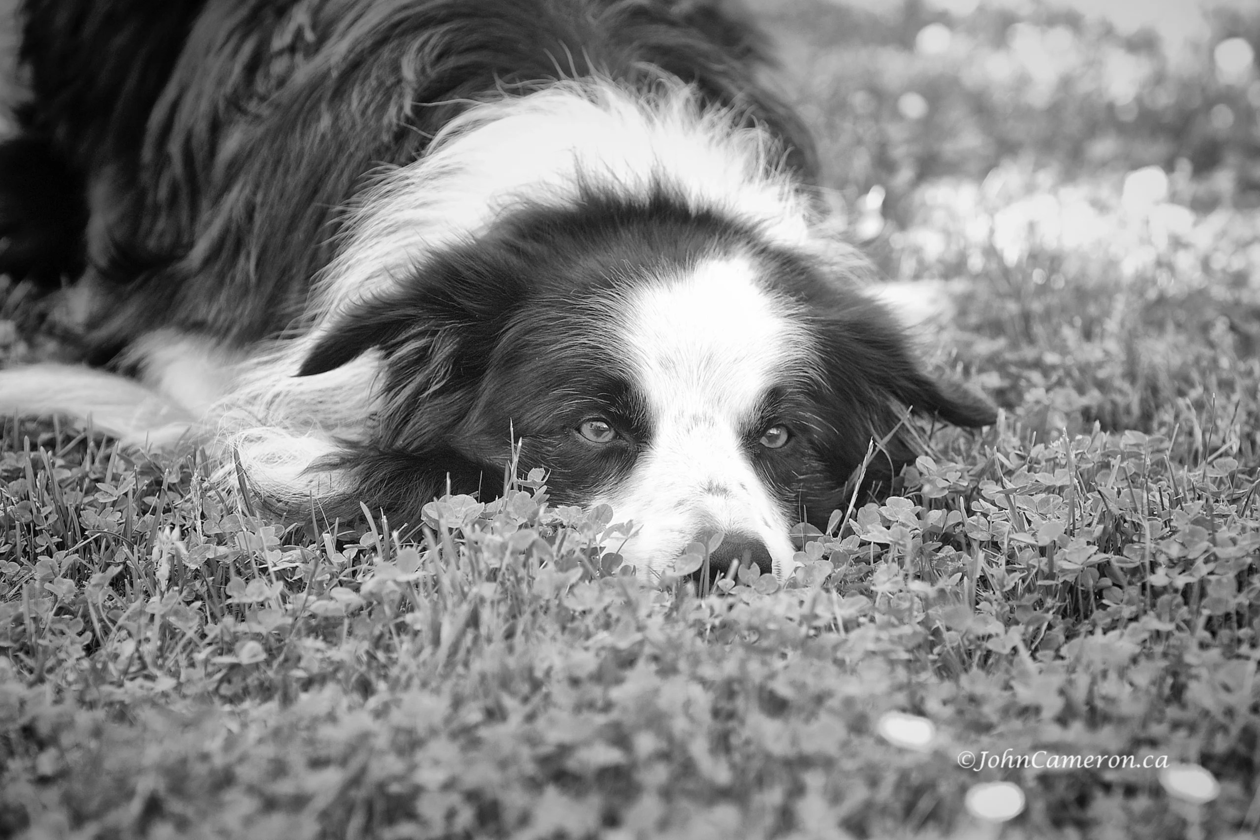 Ready to Launch ©johncameron.ca