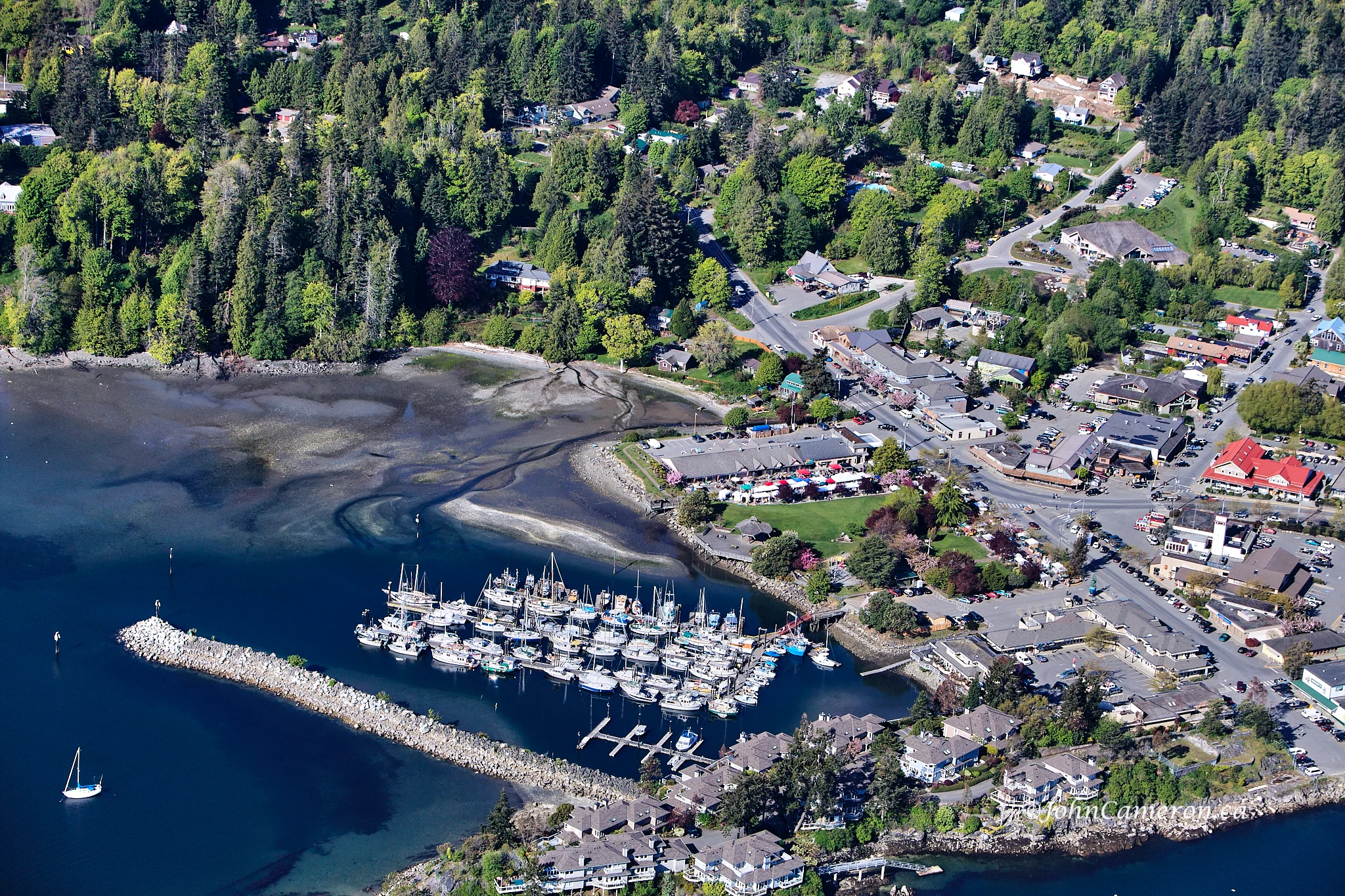 Aerial photo including the the Ganges Saturday Market ©johncameron.ca
