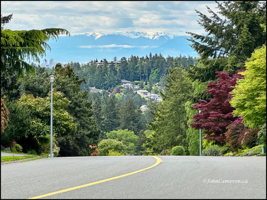 2nd boulderwood image shot at 3x