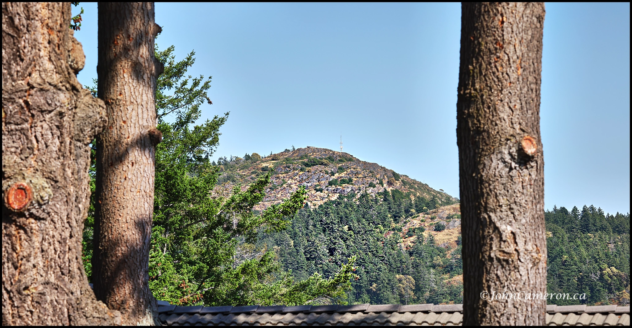 Doug View