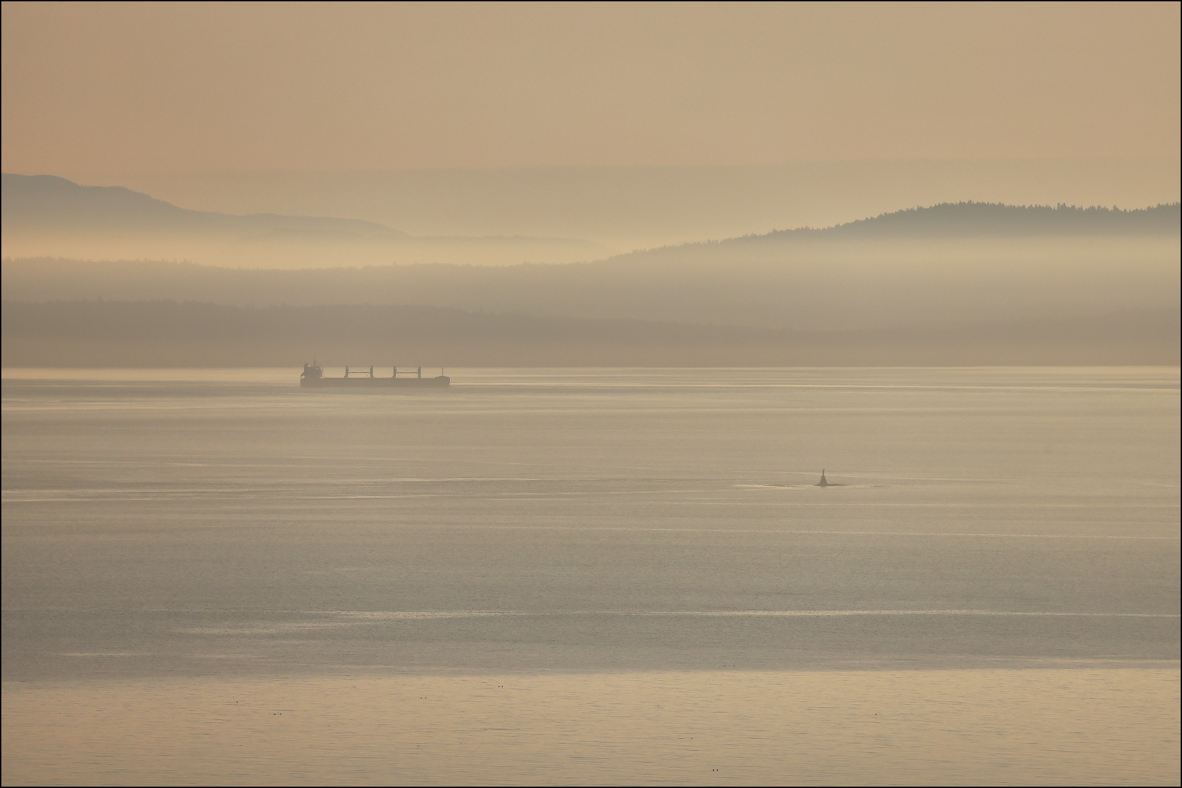 Daily Haze