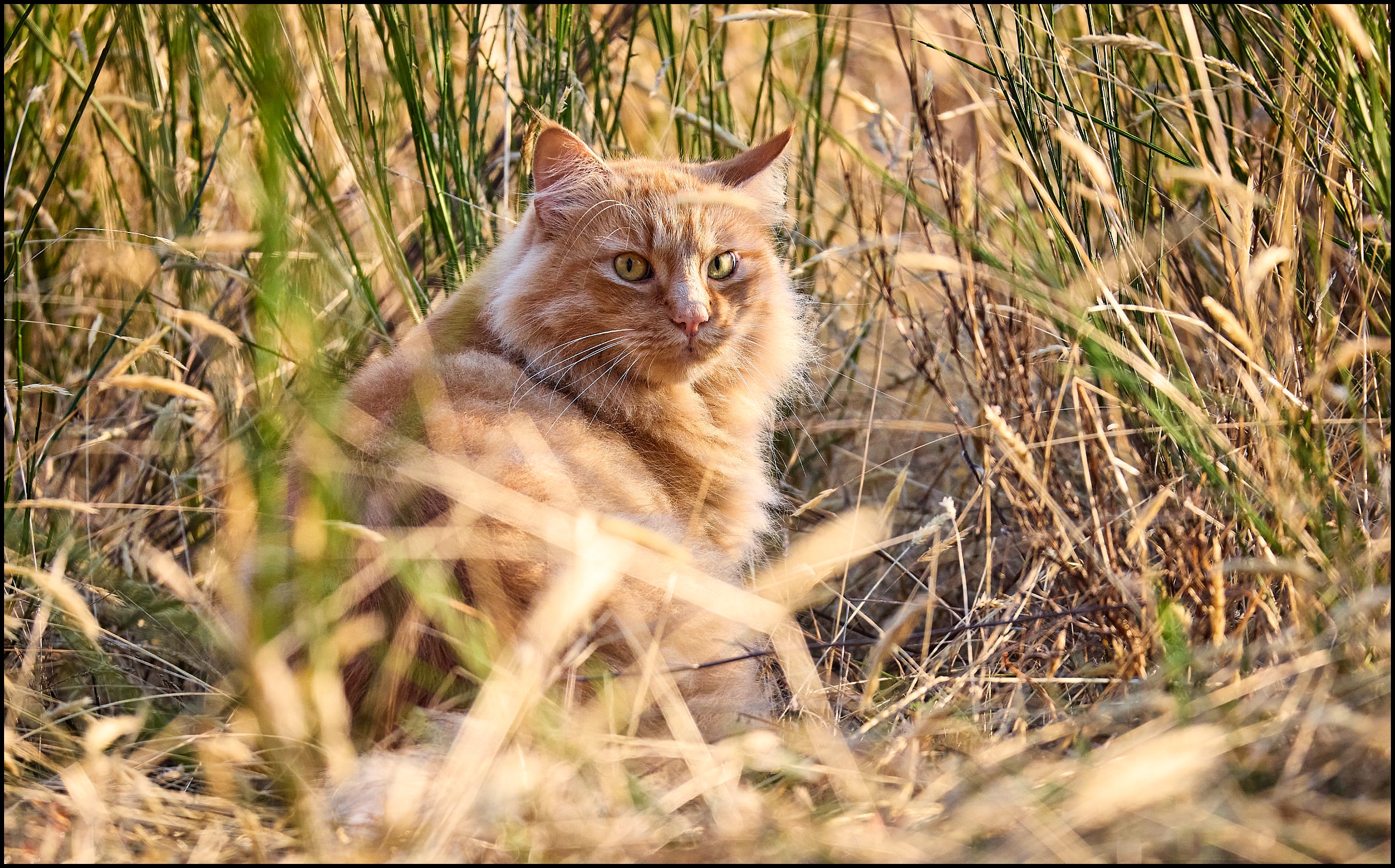 Hunter2