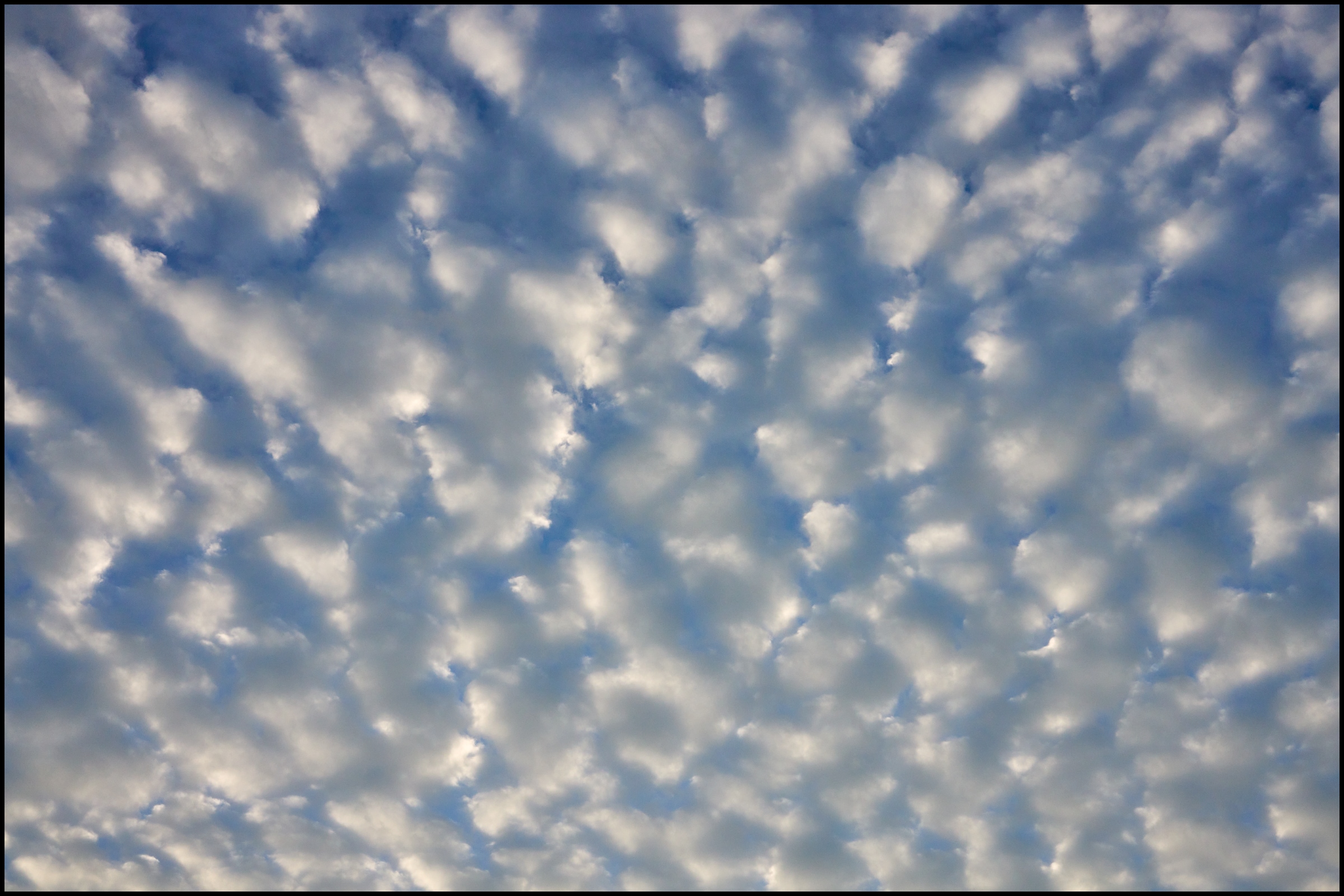 Morning Sky