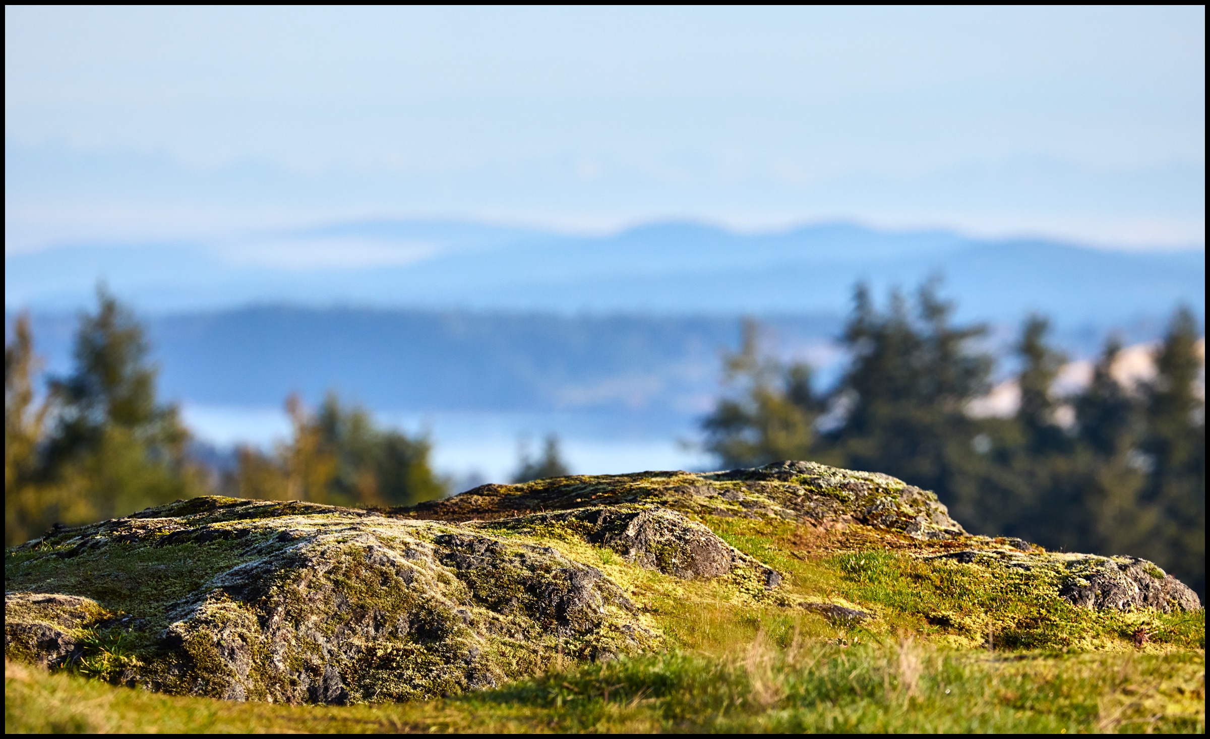 A viewpoint vista along a neighbourhood trail ©johncameron.ca