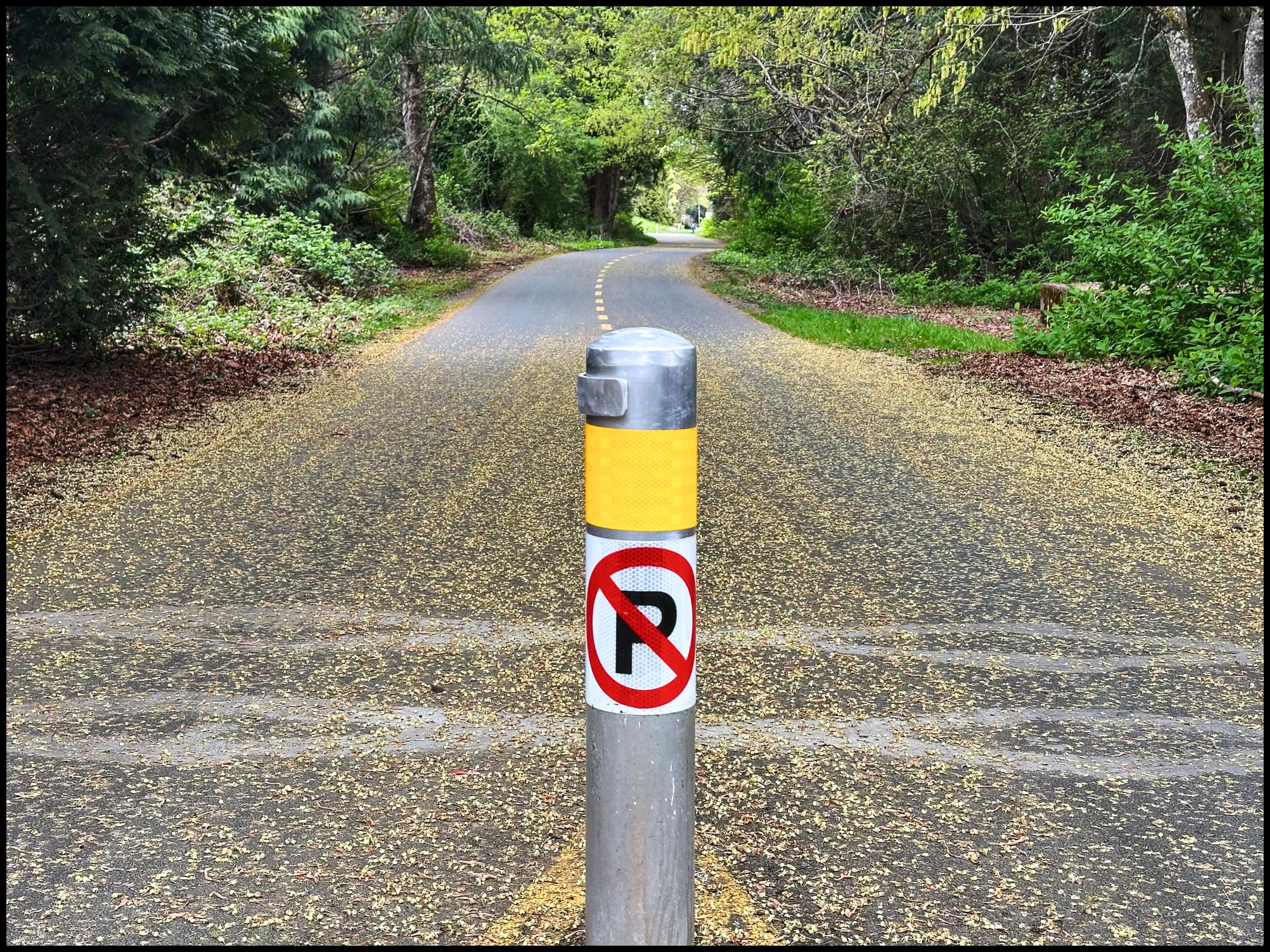 No Parking