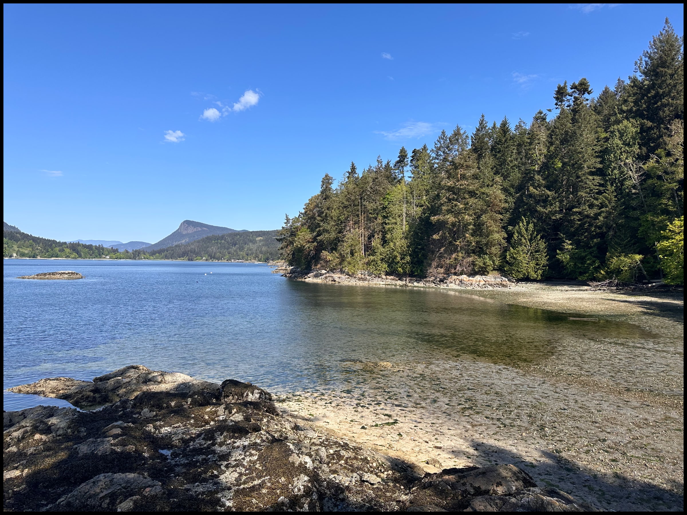 Fulford Harbour in May
