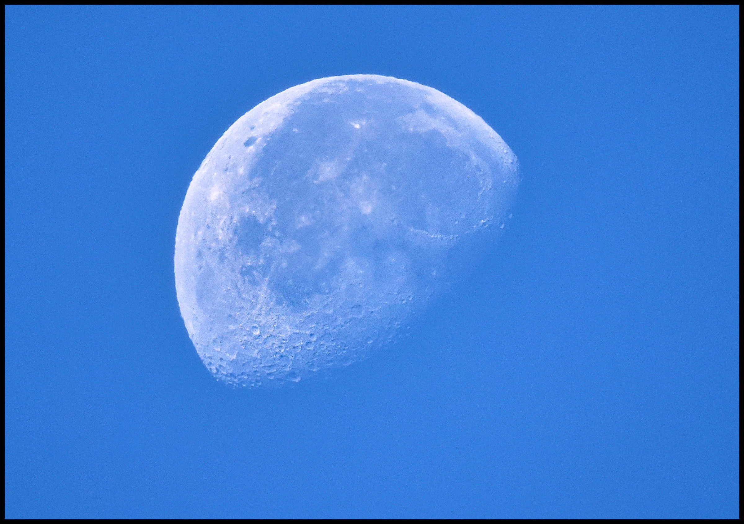 June Moon