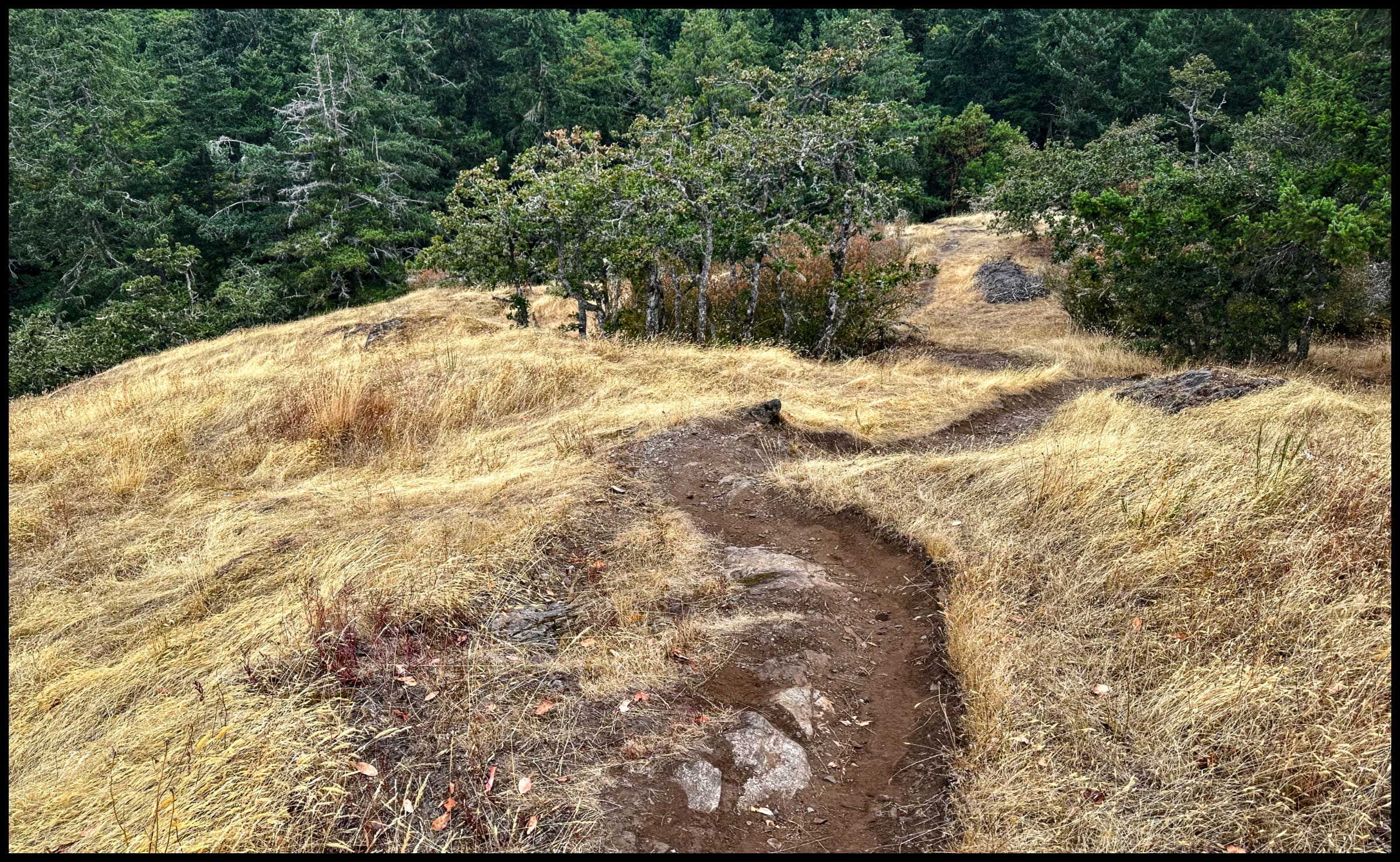 West Trail