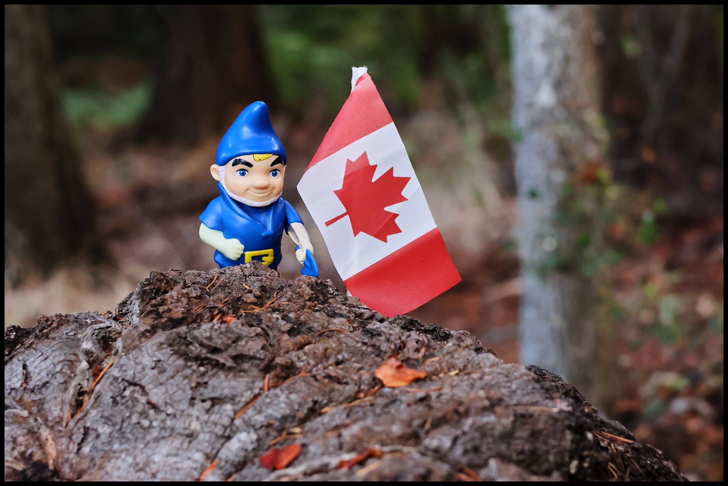 Canada Flag