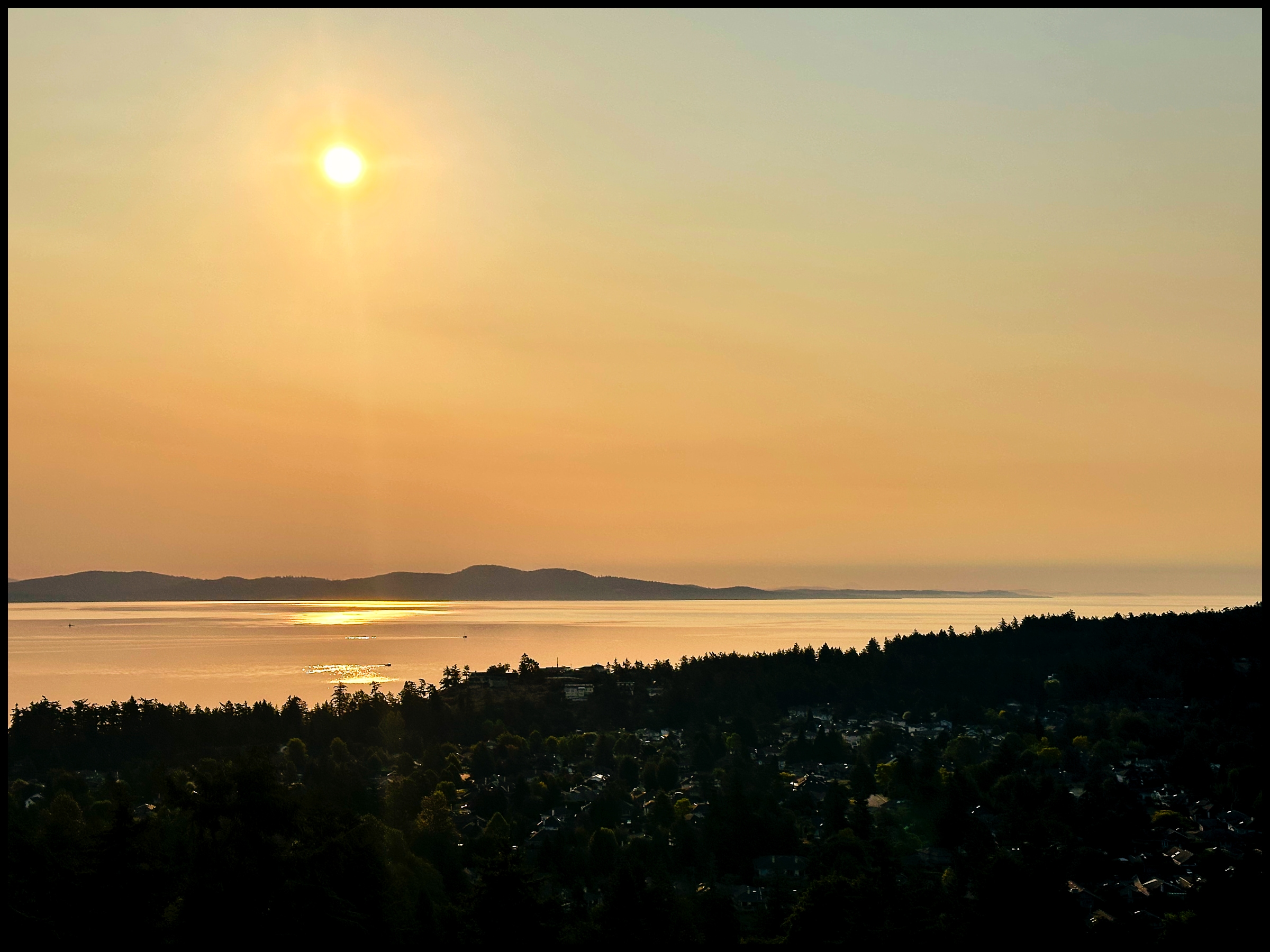 Aug 4 View