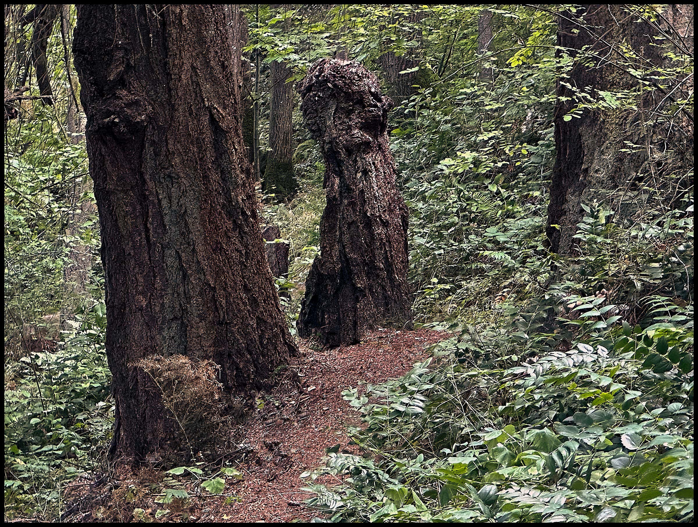 Living Stump