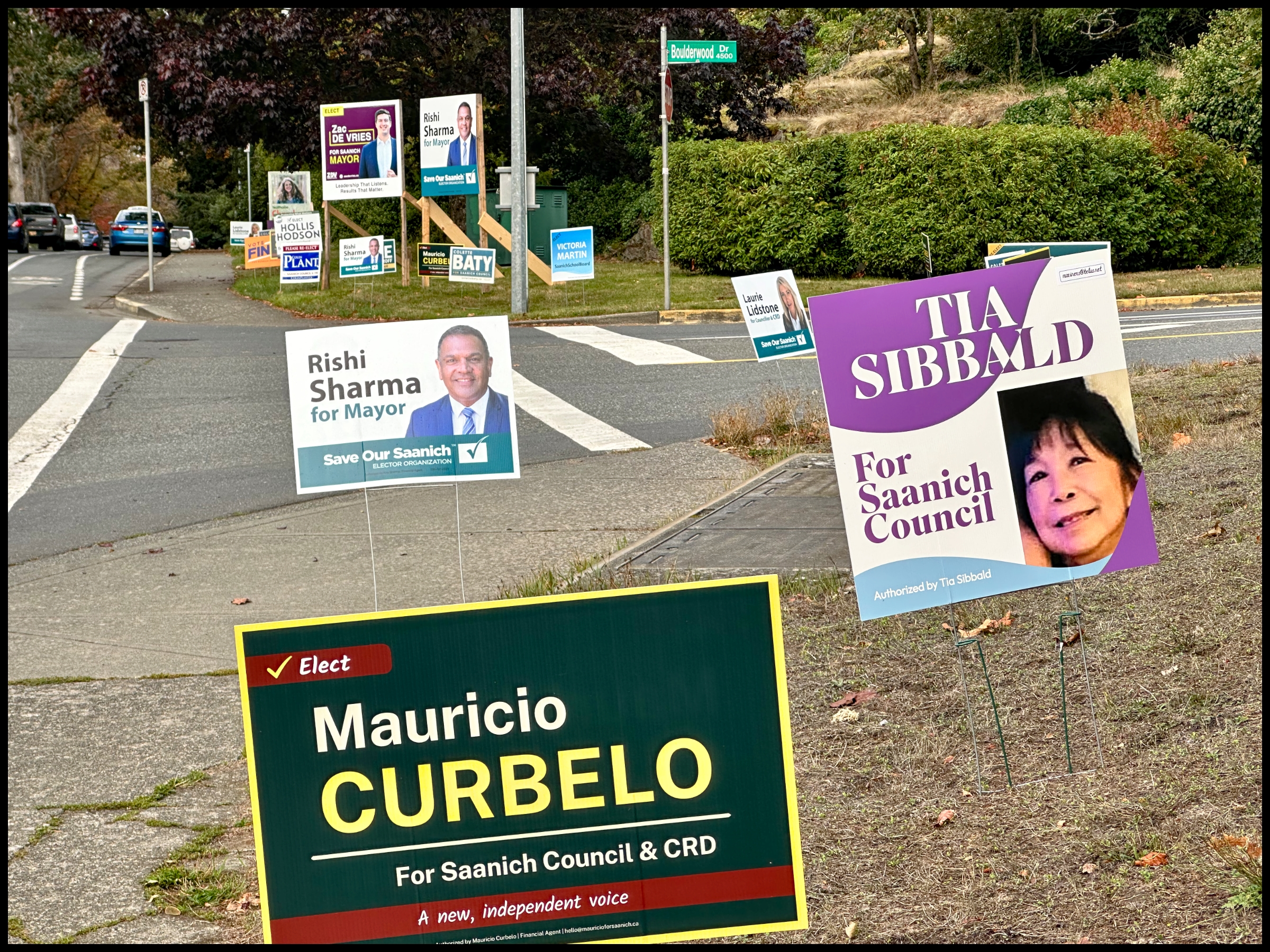 Election